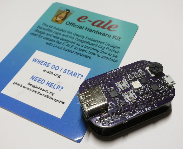 PocketBeagle with BaconBits