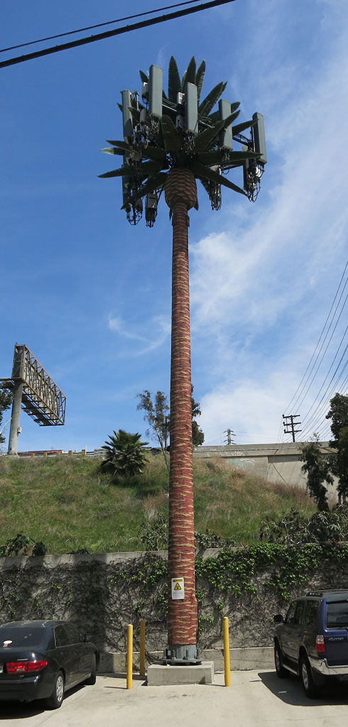 Cell tower palm tree