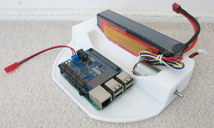 Phoebe Bottom Deck Draft