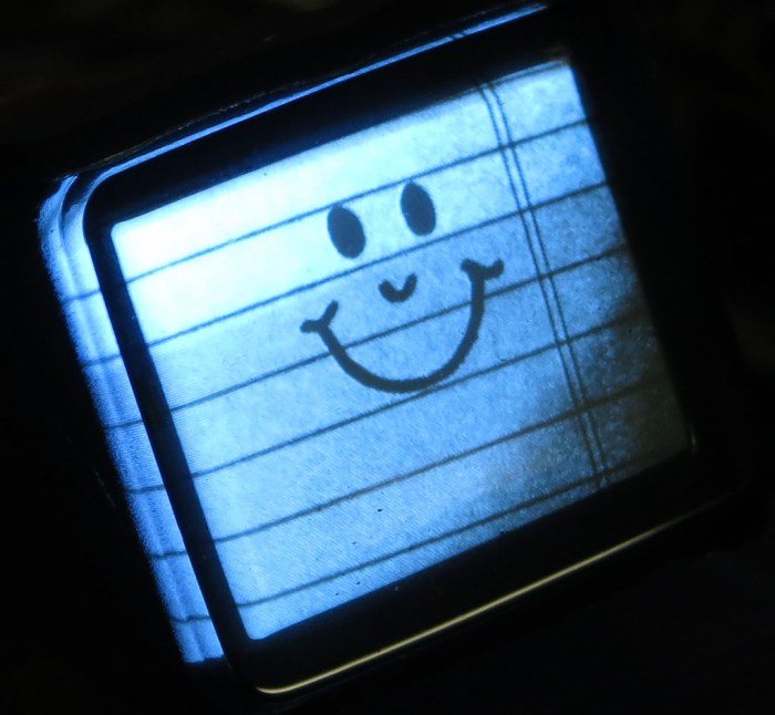 Tiny CRT 5 - camera test image