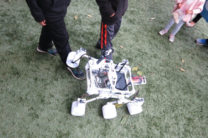 Sawppy running over feet