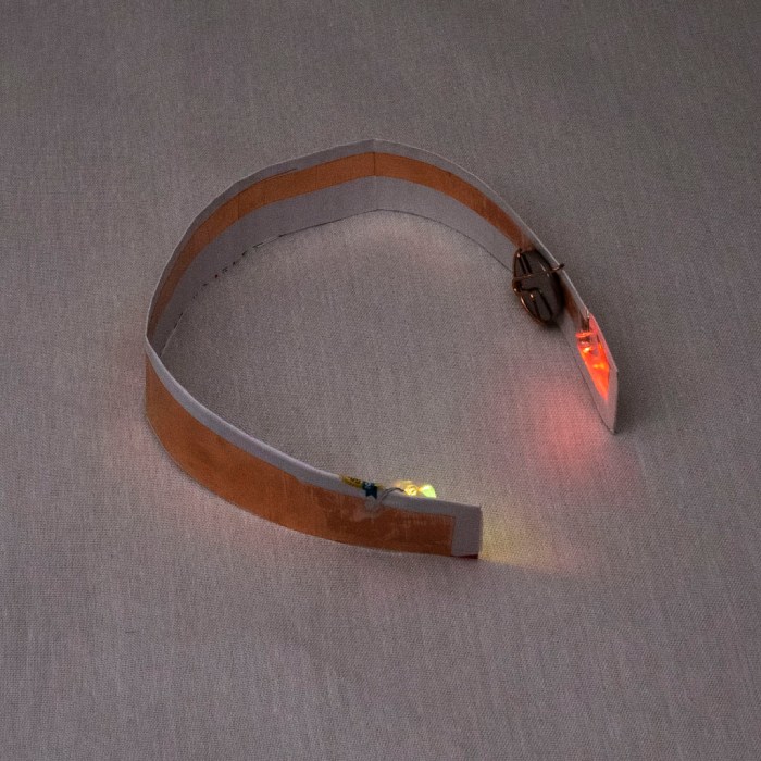 Collar LED blinky final curved.jpg