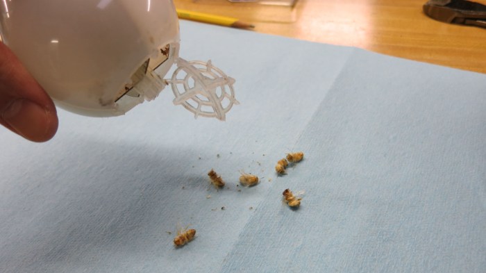 Cree LED bulb teardown 3 - pour out the bugs