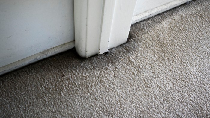 Neato swerved around door frame high contrast