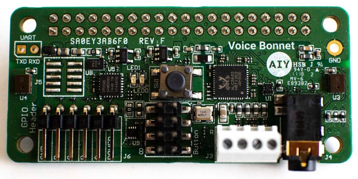 Google AIY Voice Bonnet