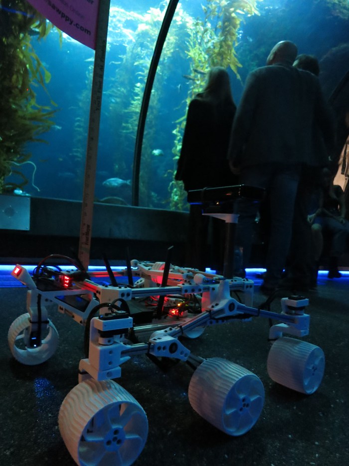 Yuris Night 2019 09 - Sawppy in Kelp Forest