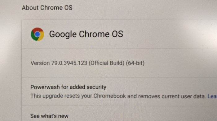 Chromebook 79.0.3945.123