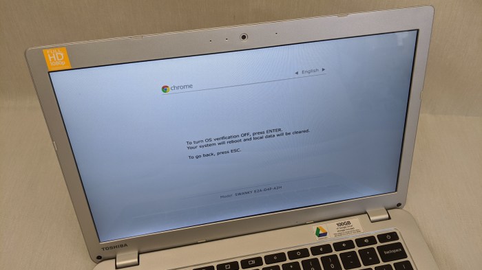 Toshiba Chromebook 2 CB35-B3340 recovery screen now readable
