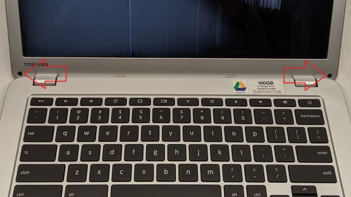 Toshiba Chromebook 2 CB35-B3340 screen bezel screws